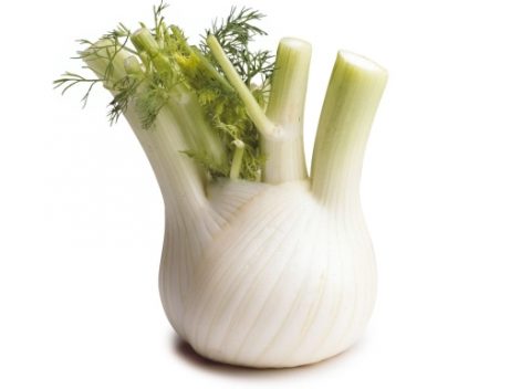finocchio
