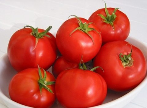 pomodoro