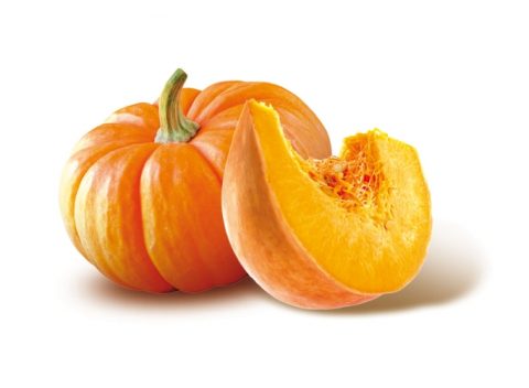 zucca